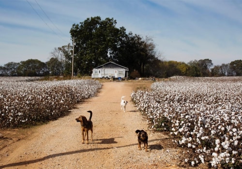 Celebrating Agriculture in Southeastern Mississippi